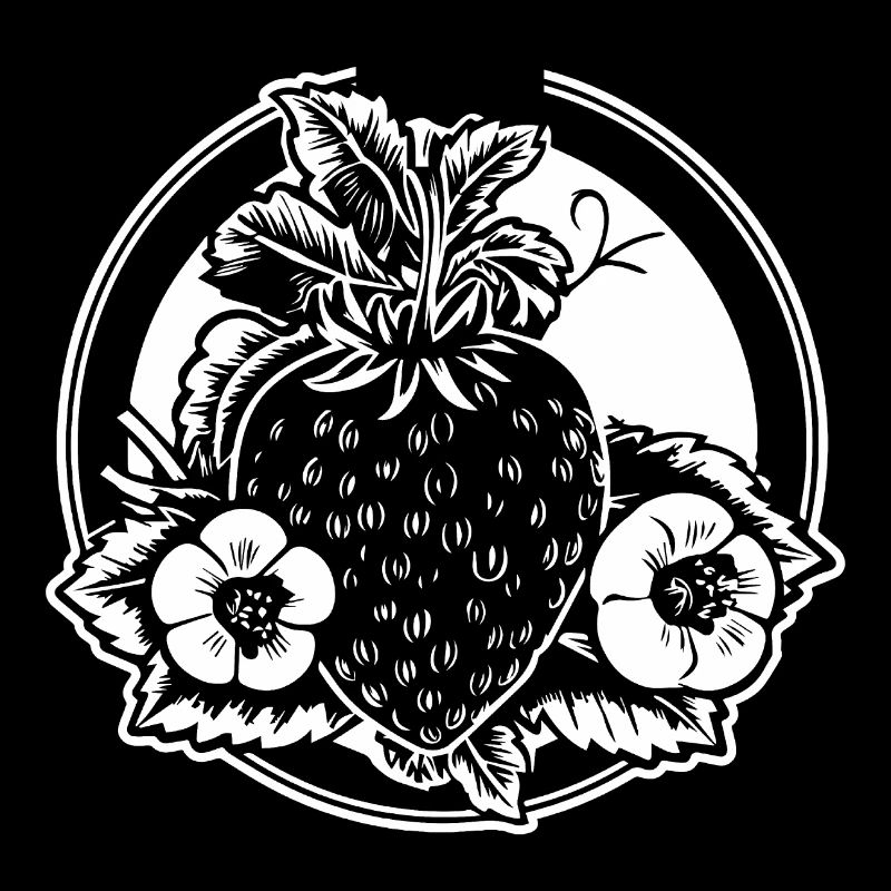 Strawberry Fruit Fruit
