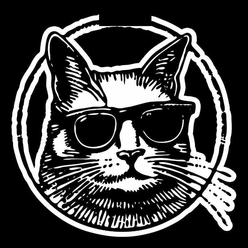 Chat Chats Chat Dame Chat Amoureux Chat Visage