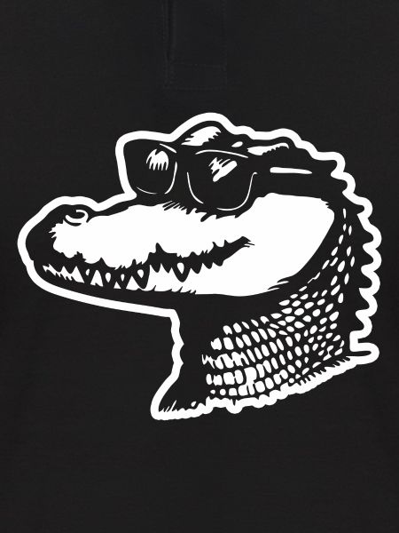 Crocodile Alligator