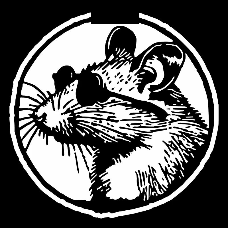 Souris Rat