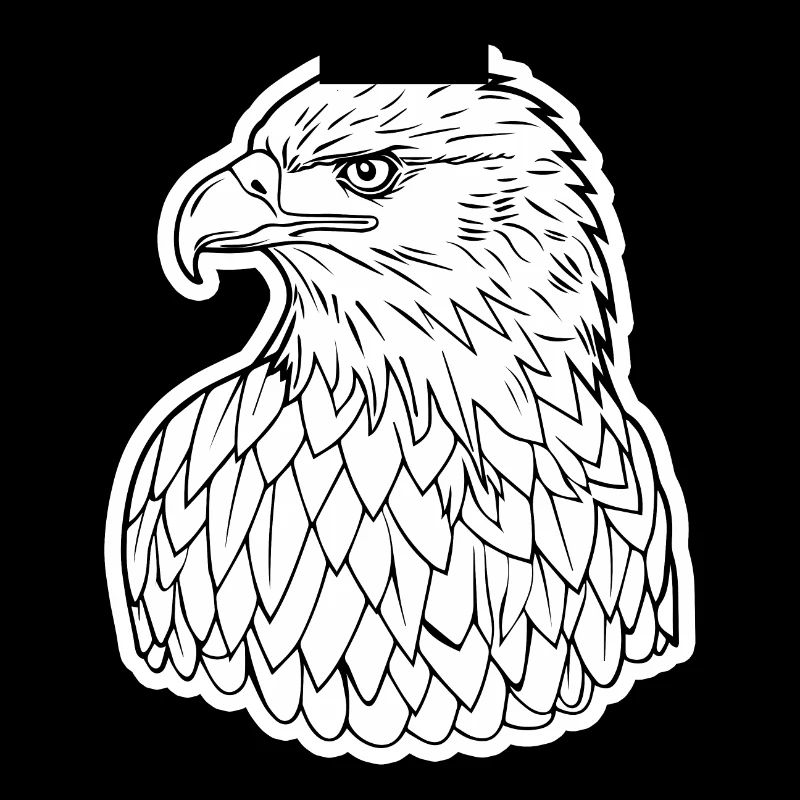 Aigle Tête d’aigle