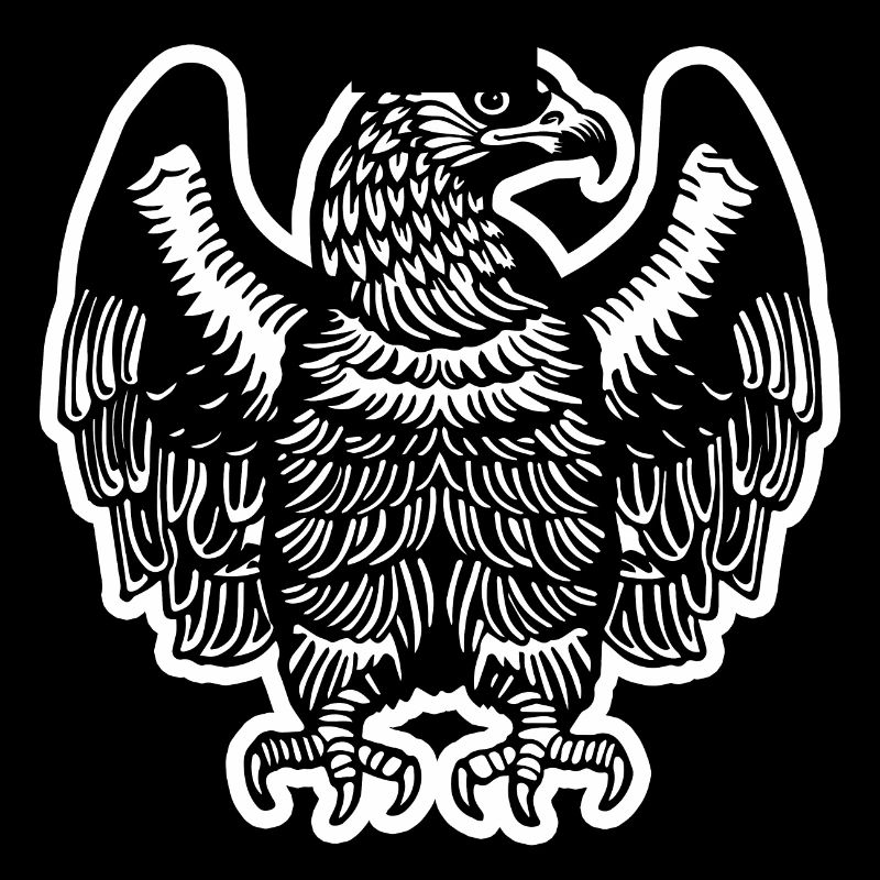 Aigle Tête d’aigle