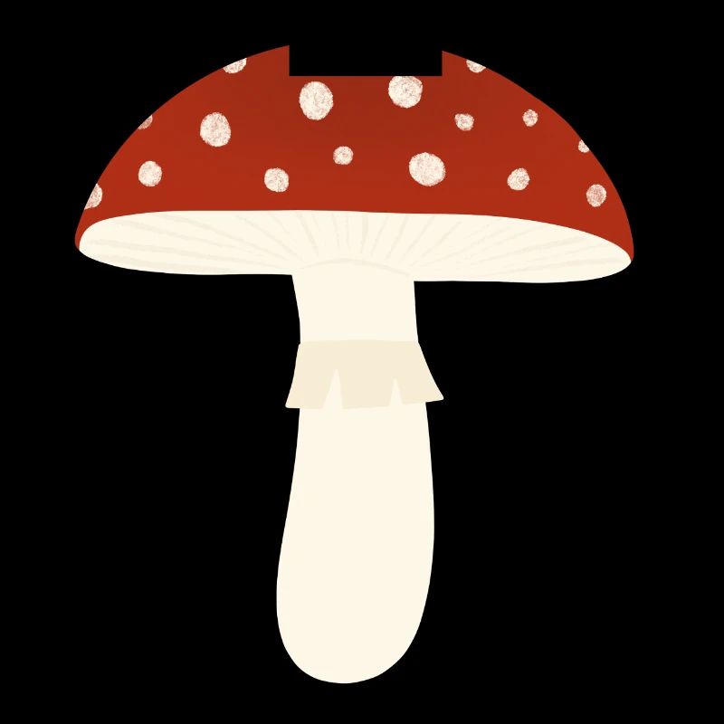 Toadstool Fly Agaric Mushroom