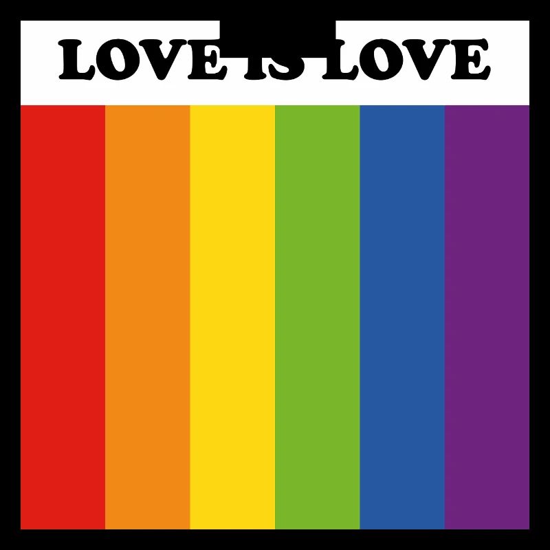 Drapeau LGBT LOVE IS LOVE