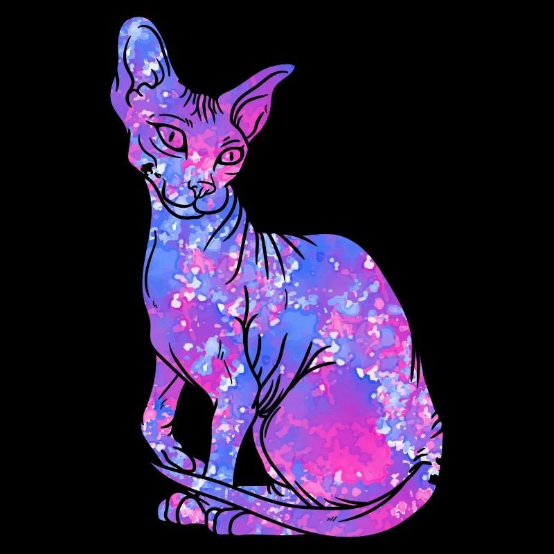 Sphynx Chat Sans Poils Galaxy Kitty