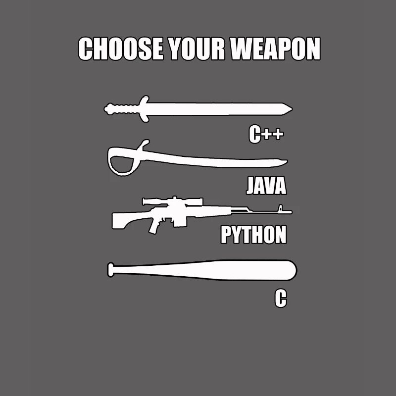 Funny developer IT theme for computer scientist