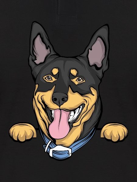 Dobermann