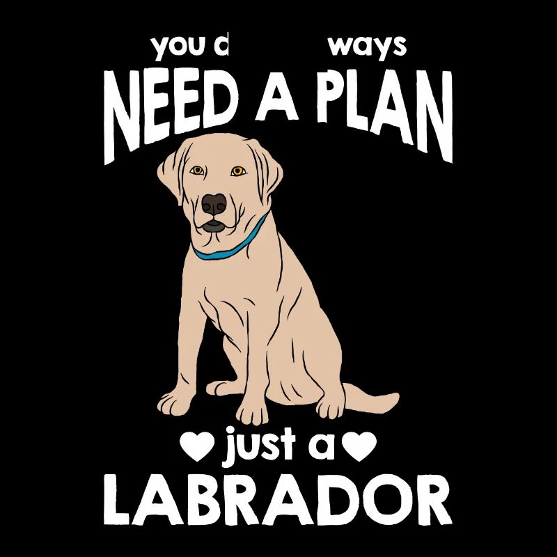 Labrador Hund Labrador Retriever