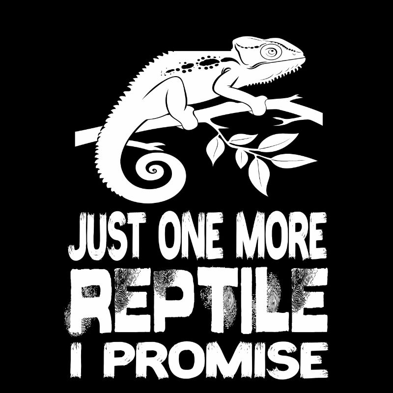 Juste un reptile de plus, je vous promets un lézard reptile