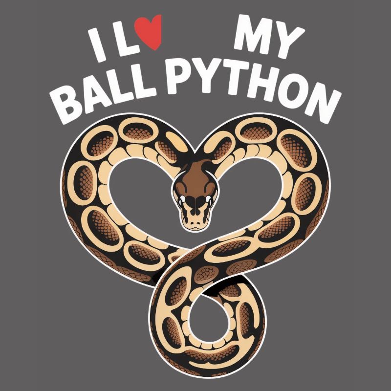 J’adore mon python royal ! Roi python