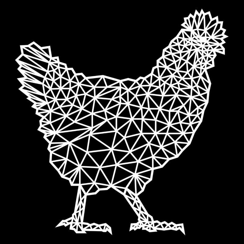 Rooster Chicken Stall Eggs Farm