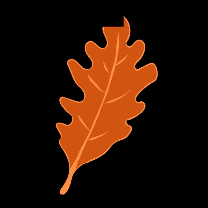 Eiche - Eichenblatt - Herbst