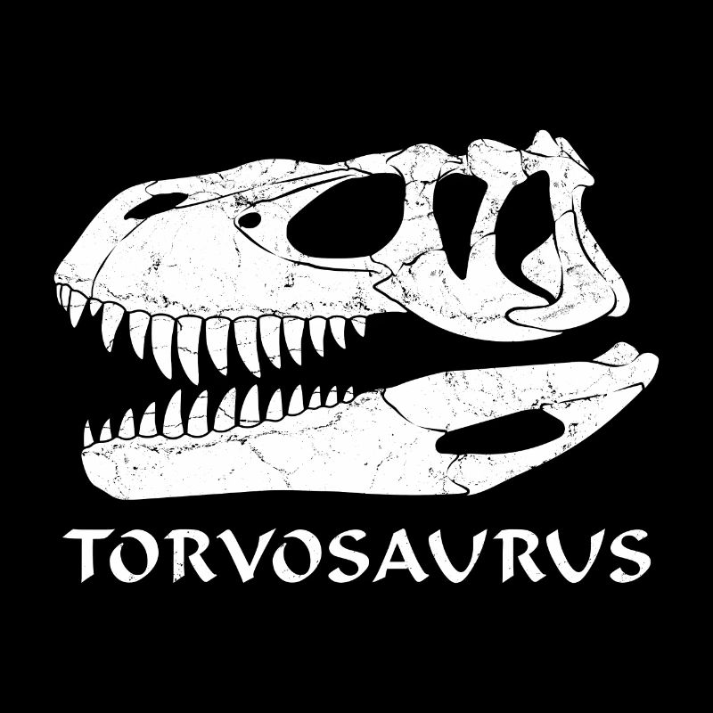 Torvosaurus Fossil Skull