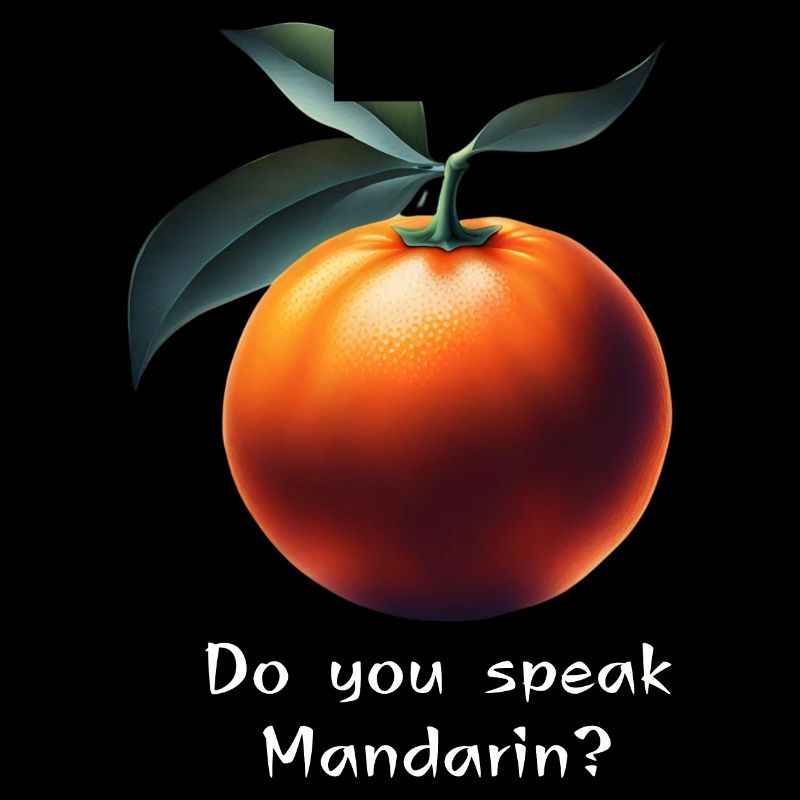 Talking Mandarin Magic : Parlez-vous chinois ?