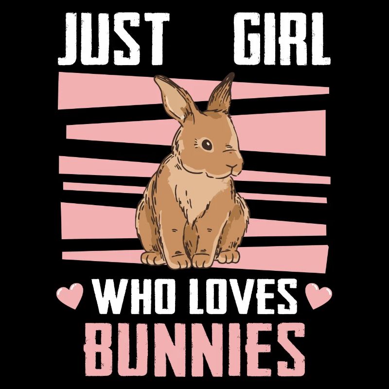 Rabbit Animal Pet Rabbit