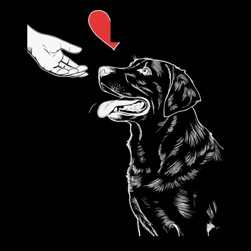 Labrador Chien Chiens