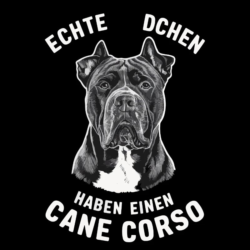 Hunde Cane Corso Italiano Hund