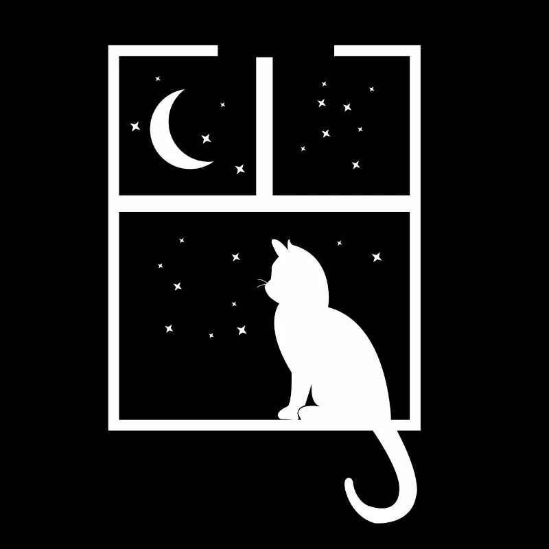 chat