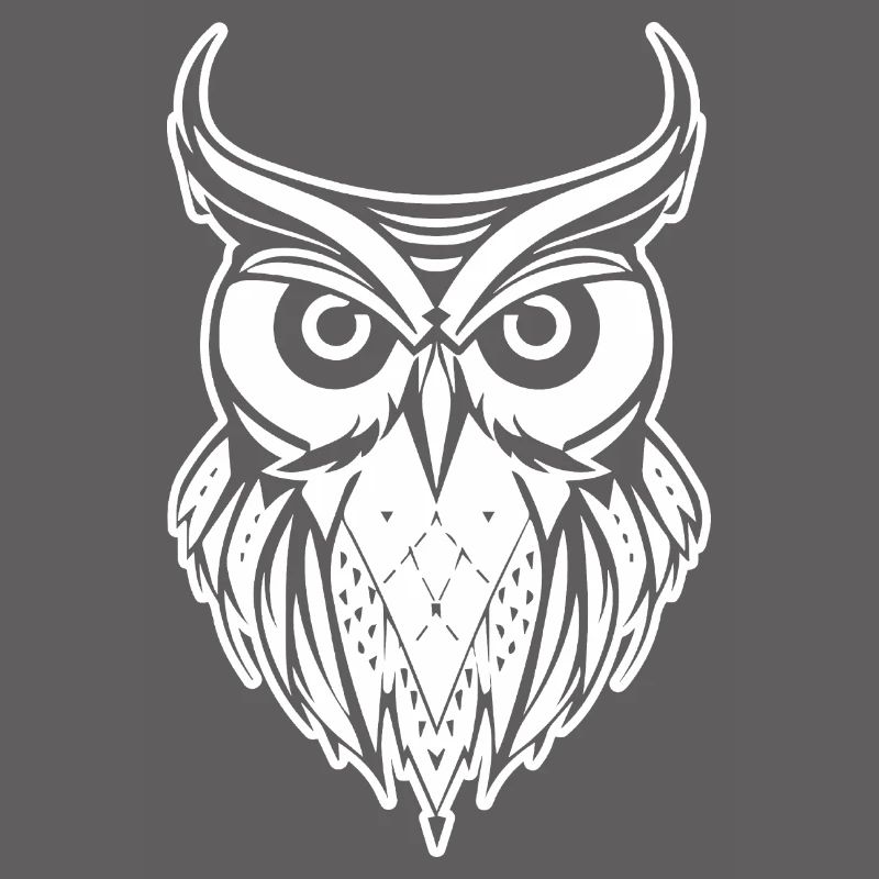Eule Eulen Vogel Vögel