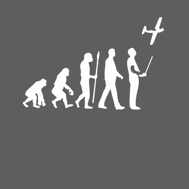 Model Flight Evolution