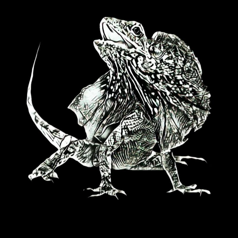 frilled lizard