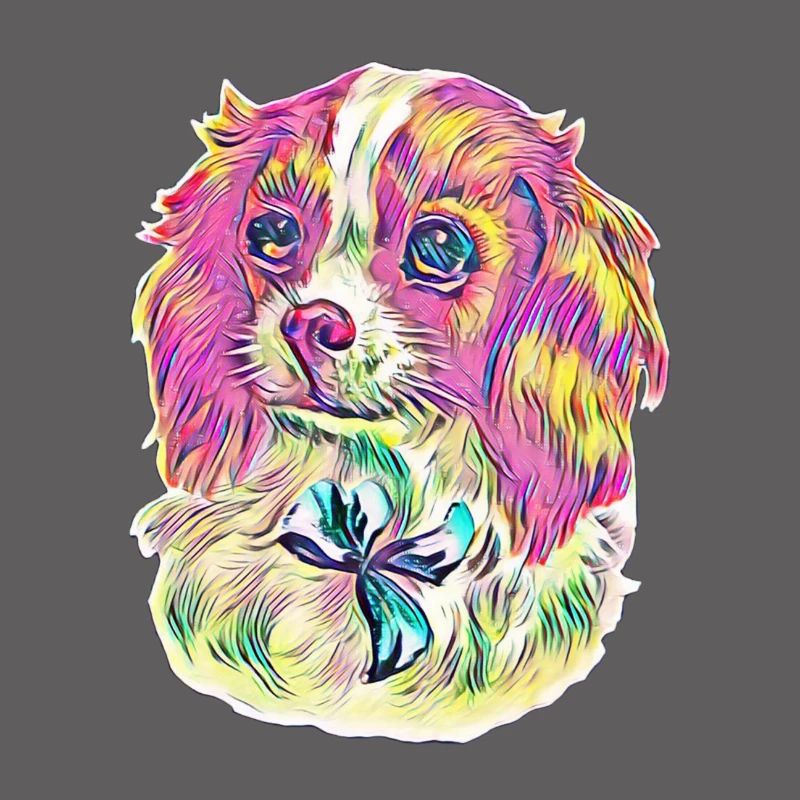 Cavalier King Charles Spaniel