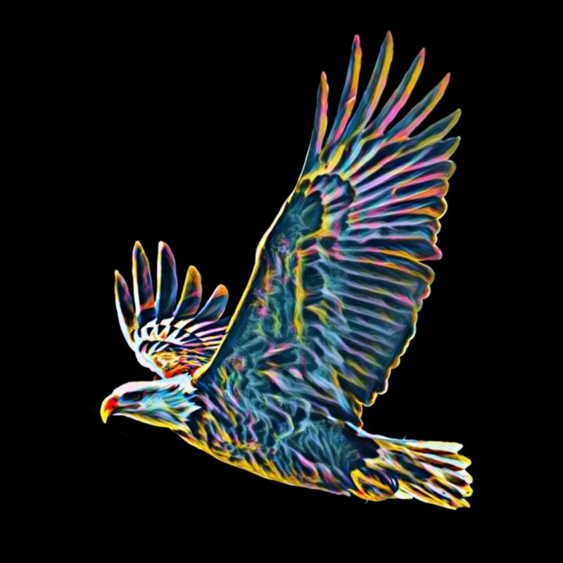 Aigle