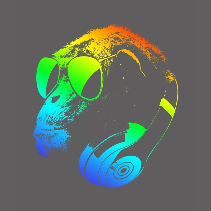 DJ Ape Gorilla Monkey Musique Techno Monkey