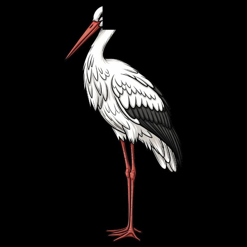 Cigogne