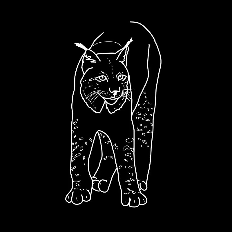 Luchs