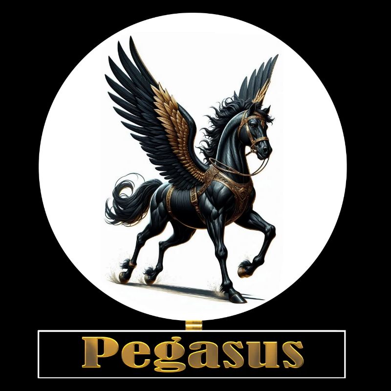 Pégase aux ailes noires