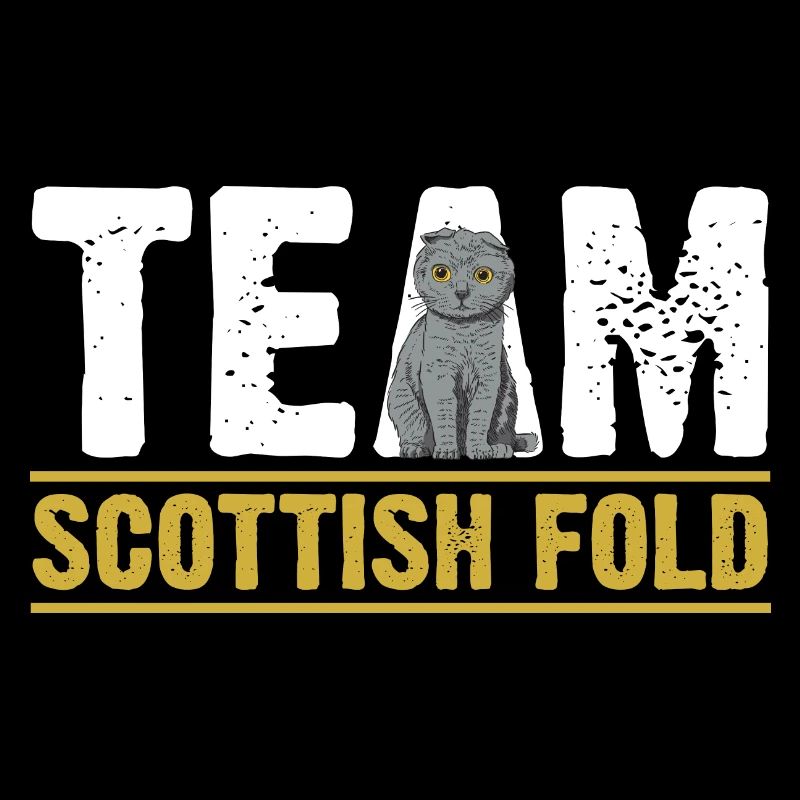 Scottish Fold Cat