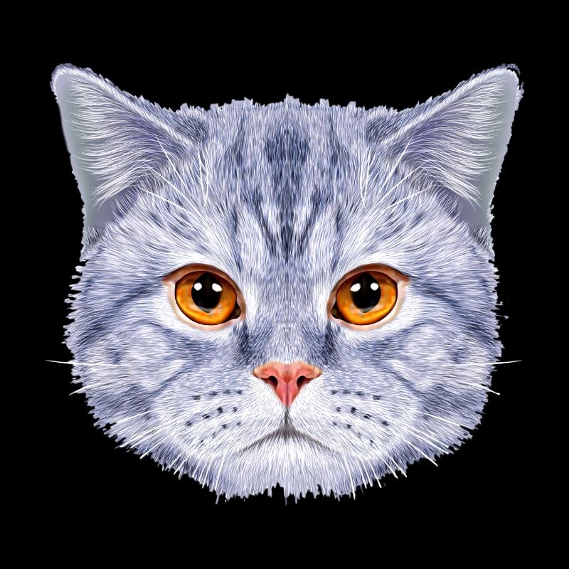 Tête de chat Visage de chat Bleu