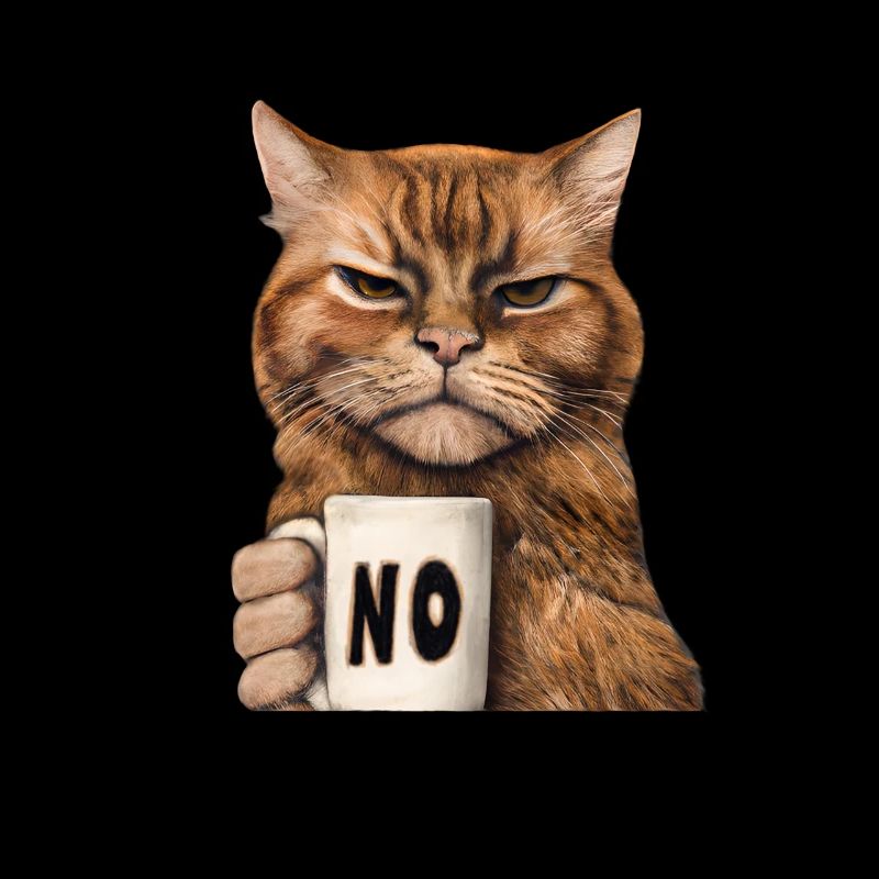 Grumpy funny cat with coffee cup says no