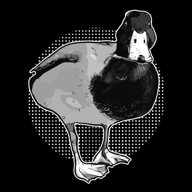 Canard canard