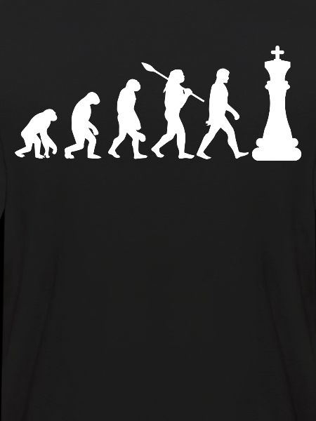 Chess evolution