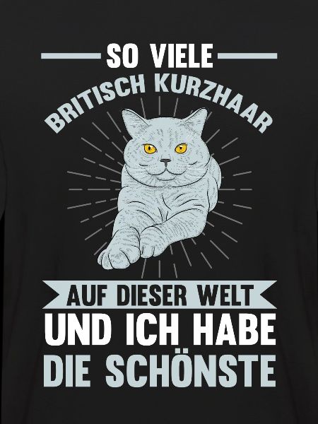 Katzen Britisch Kurzhaar