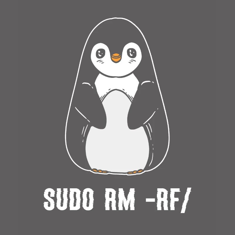 sudo rm rf / Linux Computer Programmer