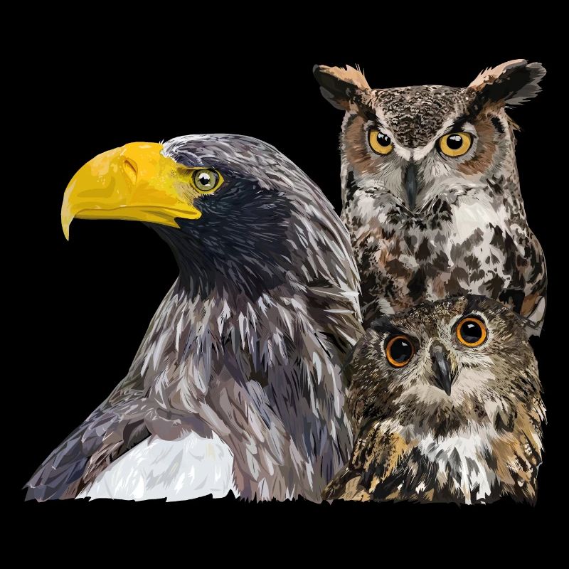 Oiseaux de proie