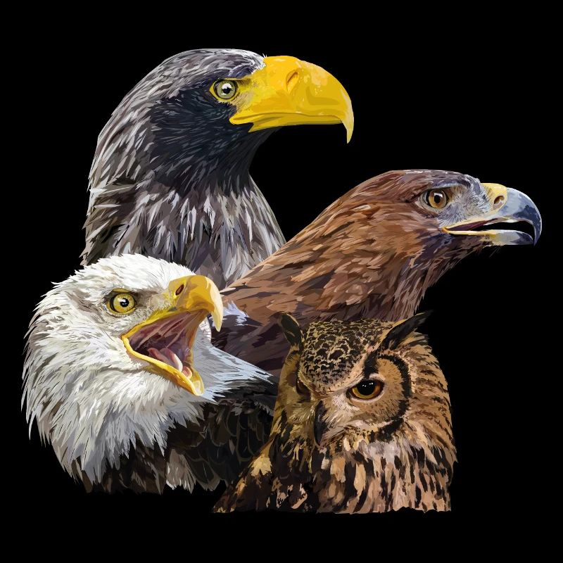 Rapaces
