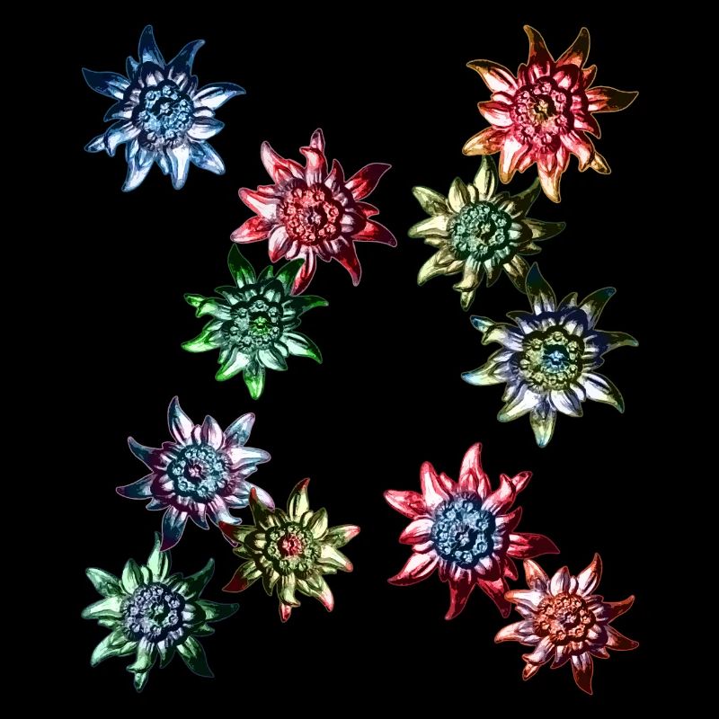 Conception de costumes traditionnels avec Edelweiss coloré /