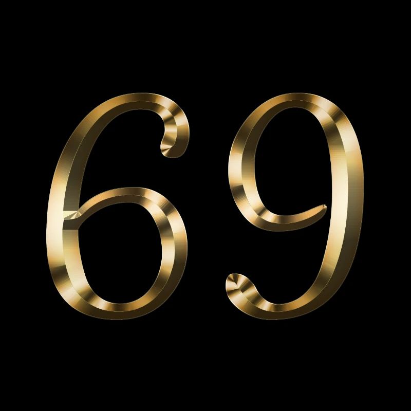 69 ans 69 ans or 69e anniversaire cadeau
