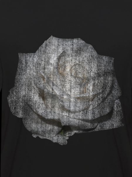 ROSE BLANCHE FLEUR BLANCHE