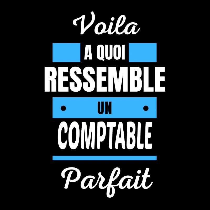 Voila a quoi ressemble un COMPTABLE parfait