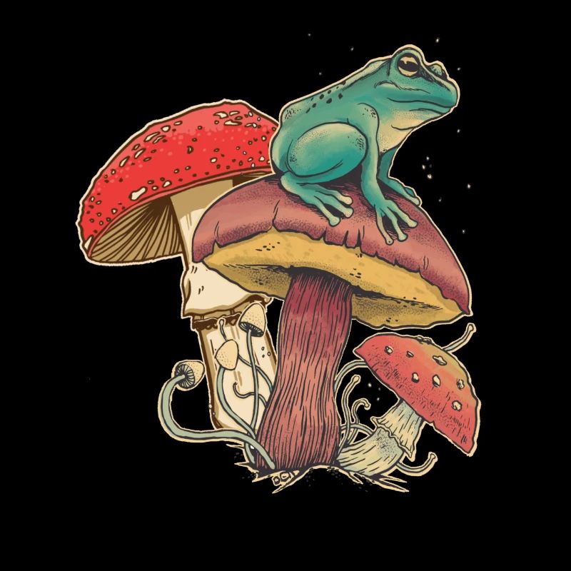 Mushroom lovers, mushroom pickers, nature frog fly agaric
