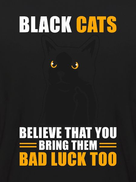 Superstition Chat Noir