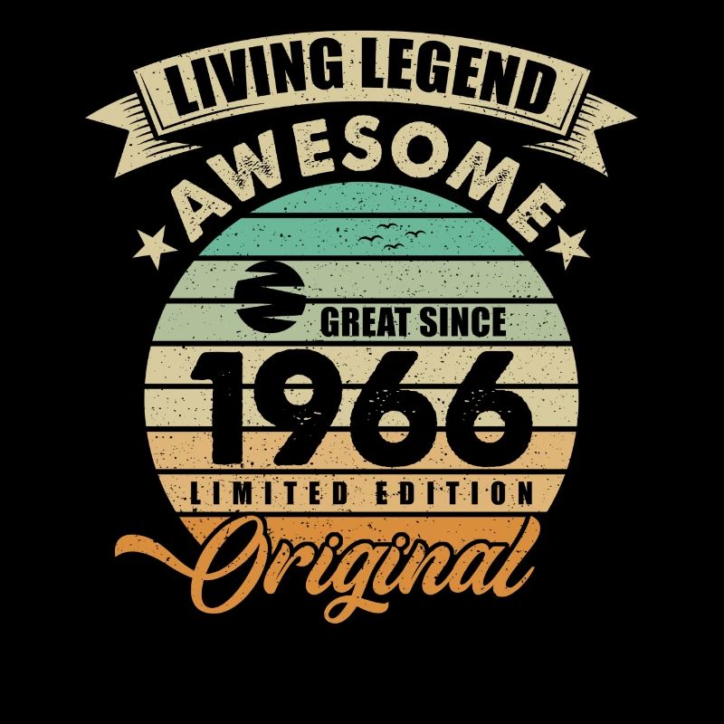 1966 Geburtstag Retro Orginal