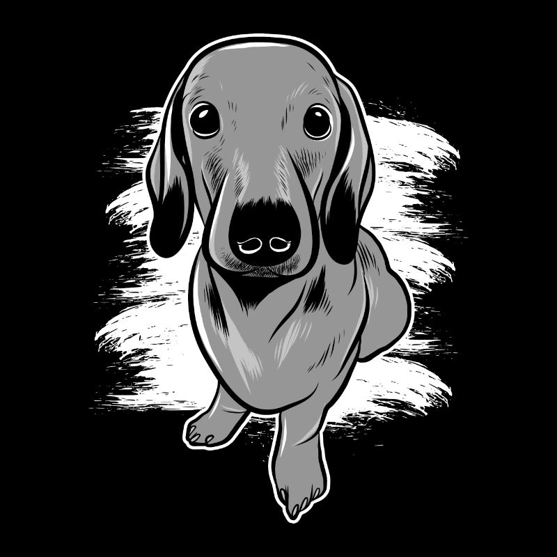 Teckel chien