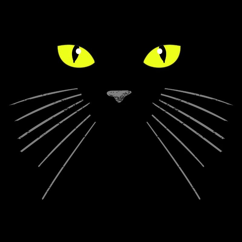 Black cat