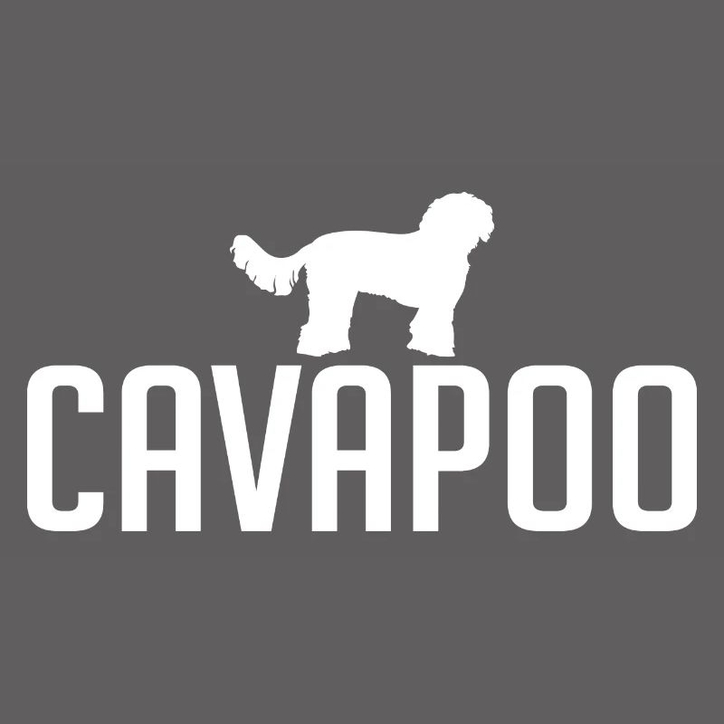 Cavapoo Dog races Chiens Wilsigns